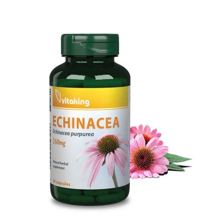 VITAKING Echinacea (Bíbor Kasvirág) Kivonat 90 kapszula